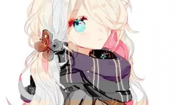 动漫的女生,探寻那些令人心动的女主角